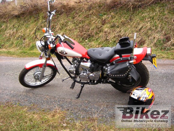 2008 AJS Regal-Raptor DD250E photo